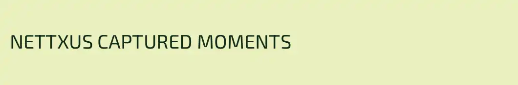 NETTXUS CAPTURED MOMENTS